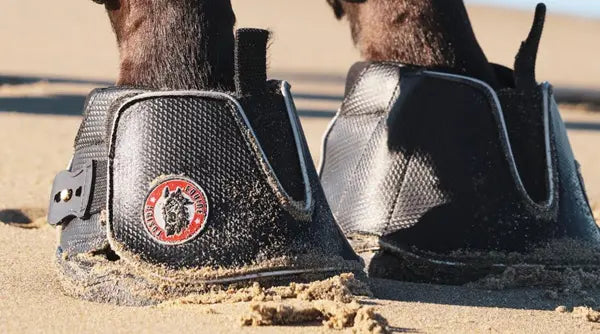 עזור לסוס שלך לשגשג - המדריך המלא לנעלי גמילה של Equine Fusion