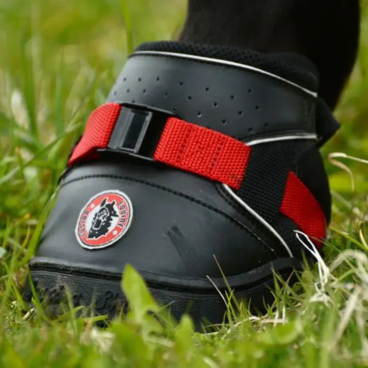 זוג נעלי רכיבה לסוס Ultra jogging shoe - מחיר לזוג