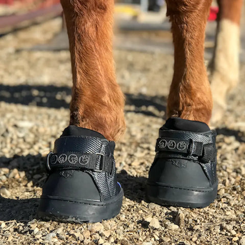 נעלי רכיבה לסוס Easyboot Sneaker, נמכר ביחידים