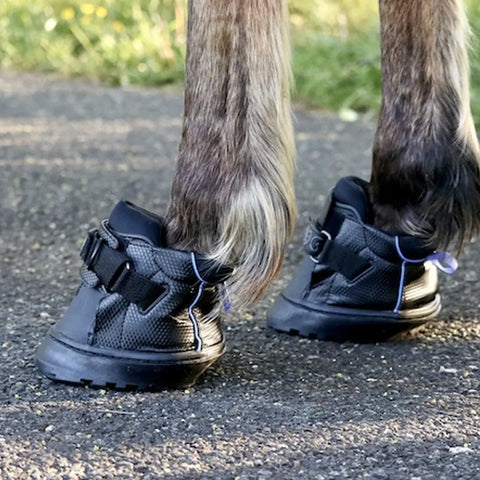 נעלי רכיבה לסוס Easyboot Sneaker, נמכר ביחידים
