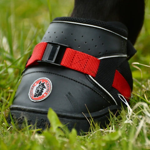 זוג נעלי רכיבה ושיקום לסוס Ultra jogging shoe - מחיר לזוג